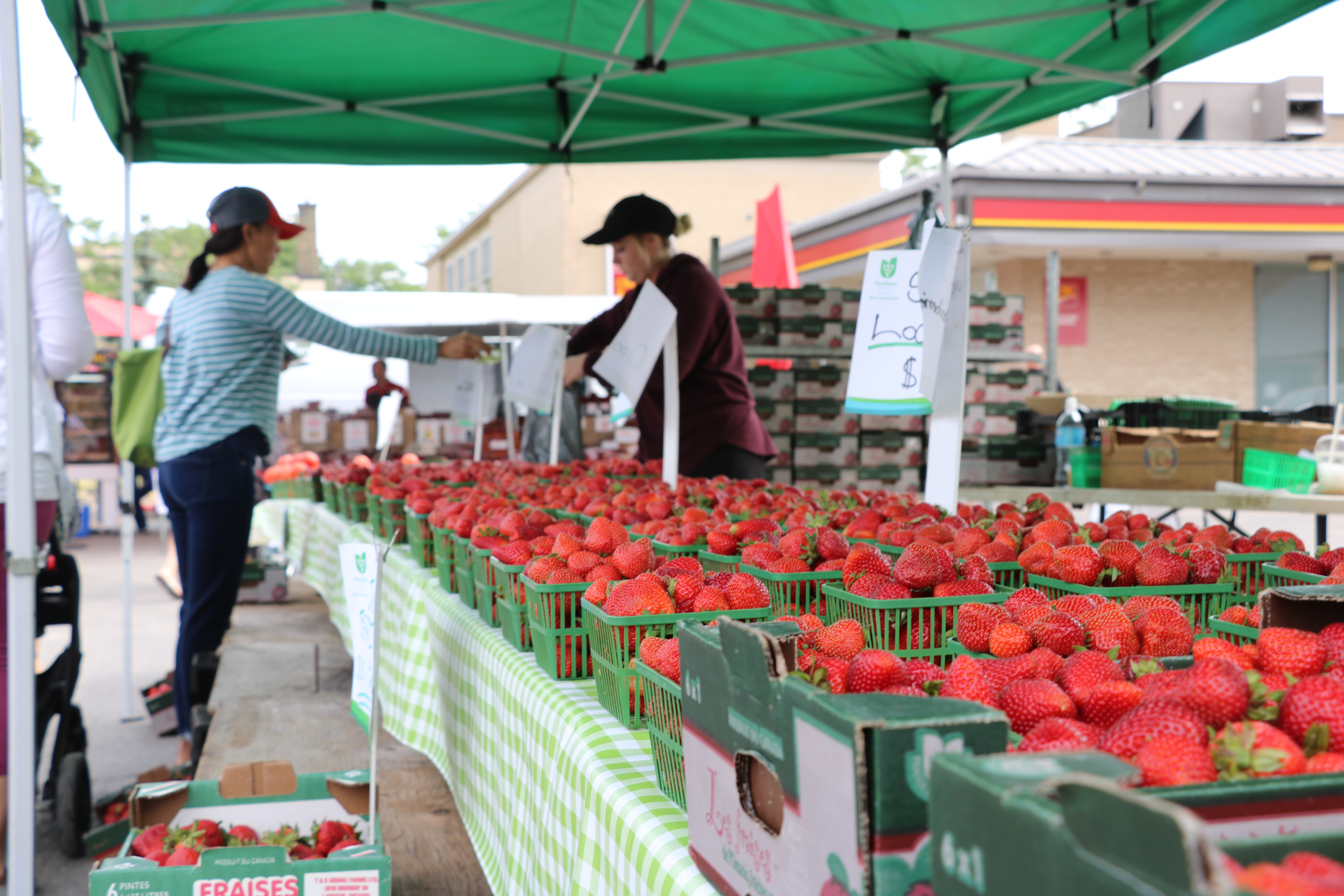 FarmersMarketStrawberries