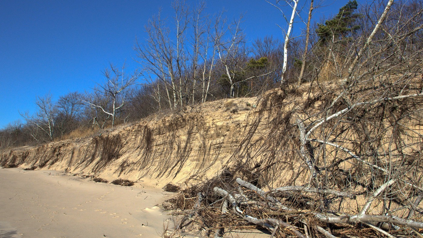 Nickel Beach Dunes