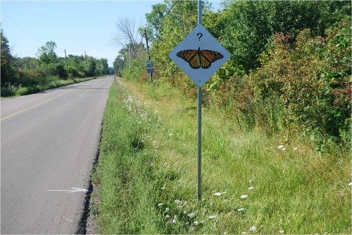 Image of butterfly sign on Pinecrest Road
