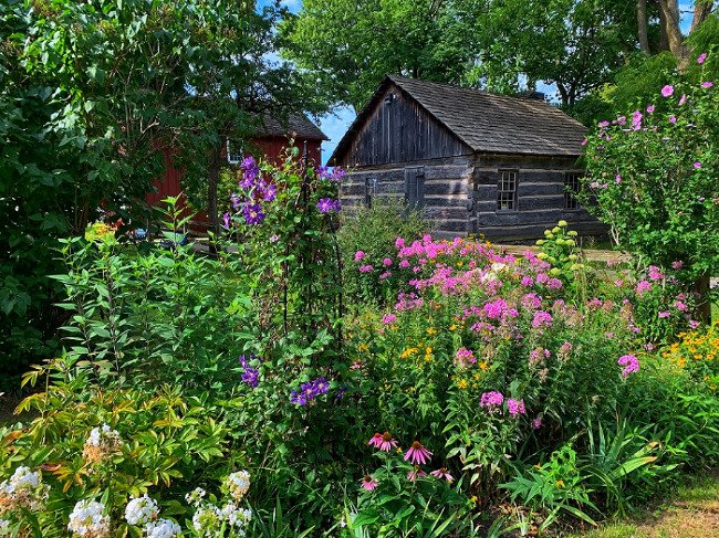 Plants and trees with log building