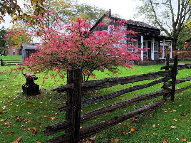 Split rail fence with gardens and log building