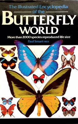 The Illustrated Encyclopedia Of The Butterfly World by Paul Smart