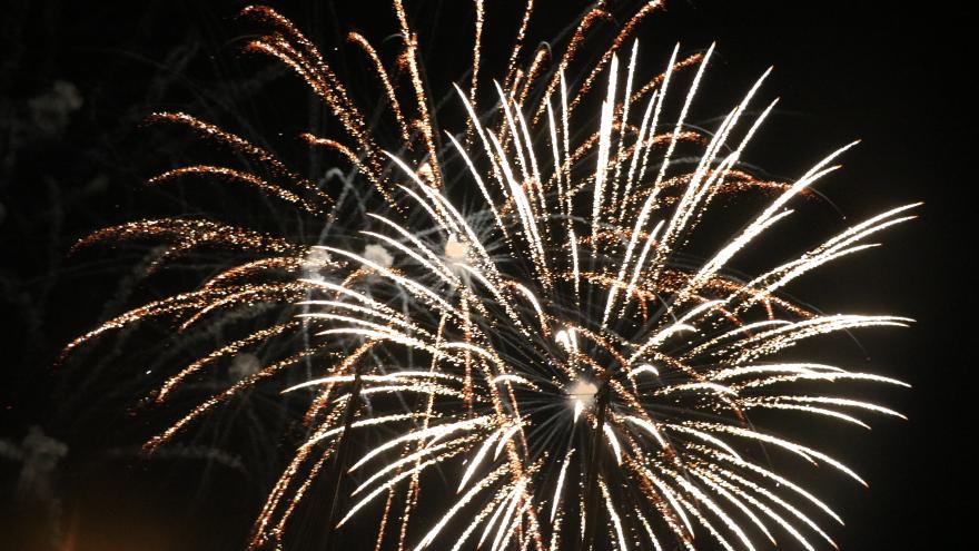Bright fireworks burst in the night sky, creating vibrant patterns of light and colour.