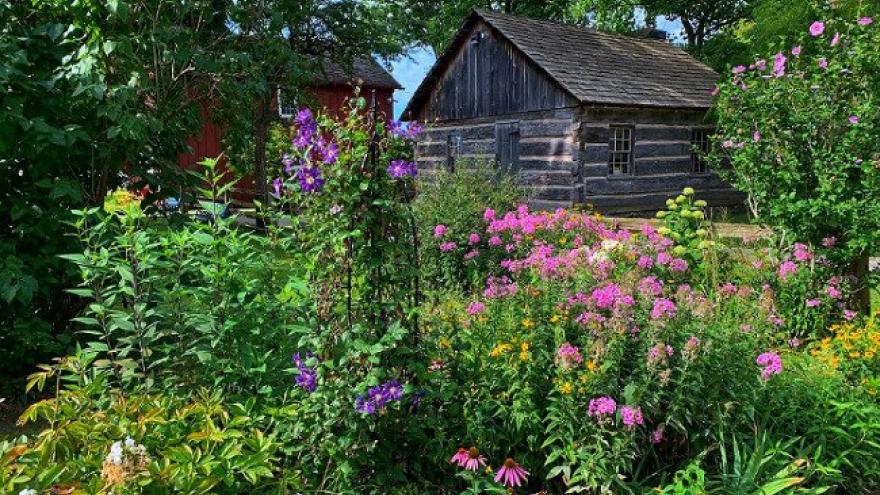 A vibrant garden filled with colourful flowers surrounding a rustic wooden cabin.