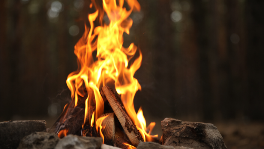 A vibrant campfire with flames rising above stacked logs, set against a blurred forest backdrop.