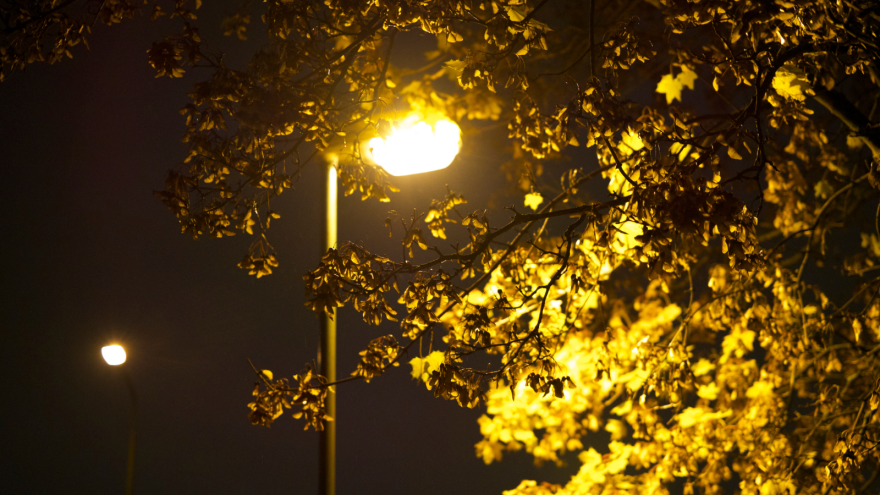 Glowing streetlights surrounded by golden autumn leaves at night.