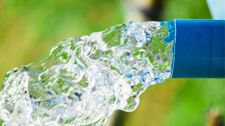 Water flowing from a blue garden hose against a blurred green background.