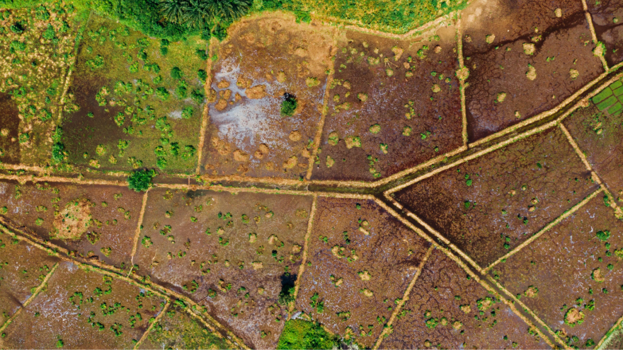 Aerial view of patchwork agricultural fields with varying shades of brown and green.