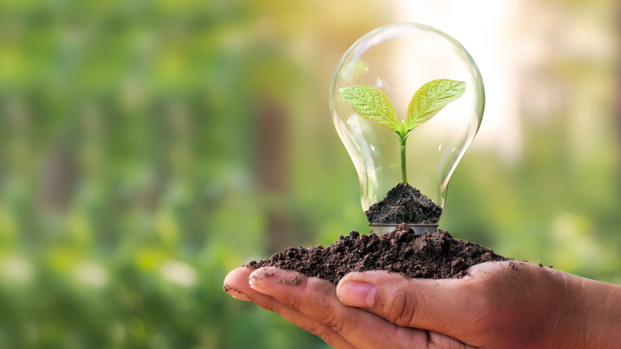 A hand holding soil with a small plant inside a glass light bulb on a blurred green background.