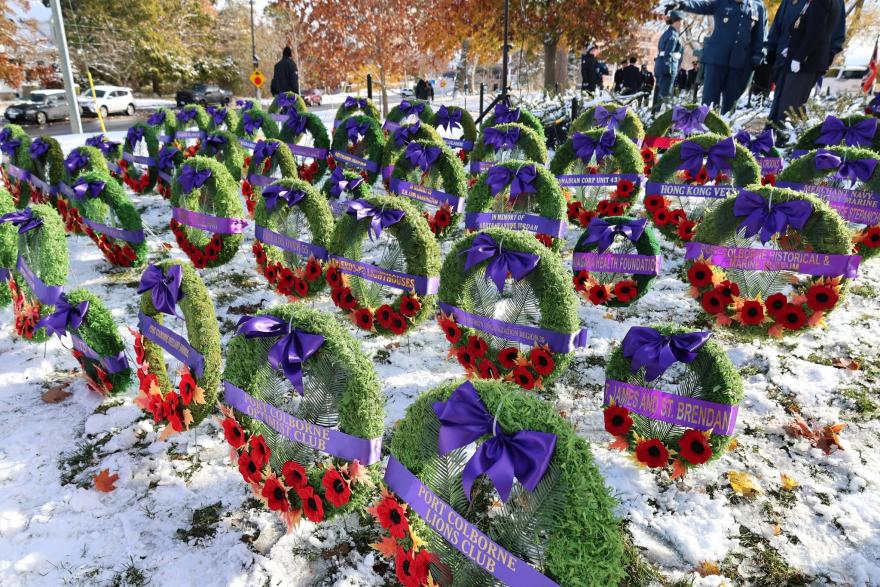 A field of remembrance wreaths adorned with red poppies and purple ribbons on snowy ground.