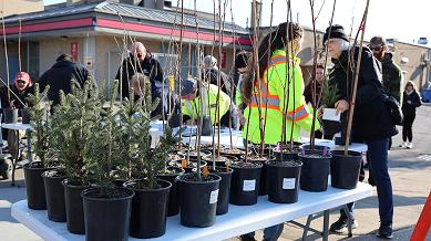 Tables display potted trees, with people engaged in conversation and selecting plants.