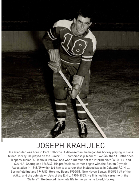 A hockey player in uniform, holding a stick on an ice rink, with text below describing achievements.